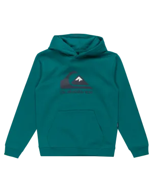 Boys Logo Hoodie in Teal Green