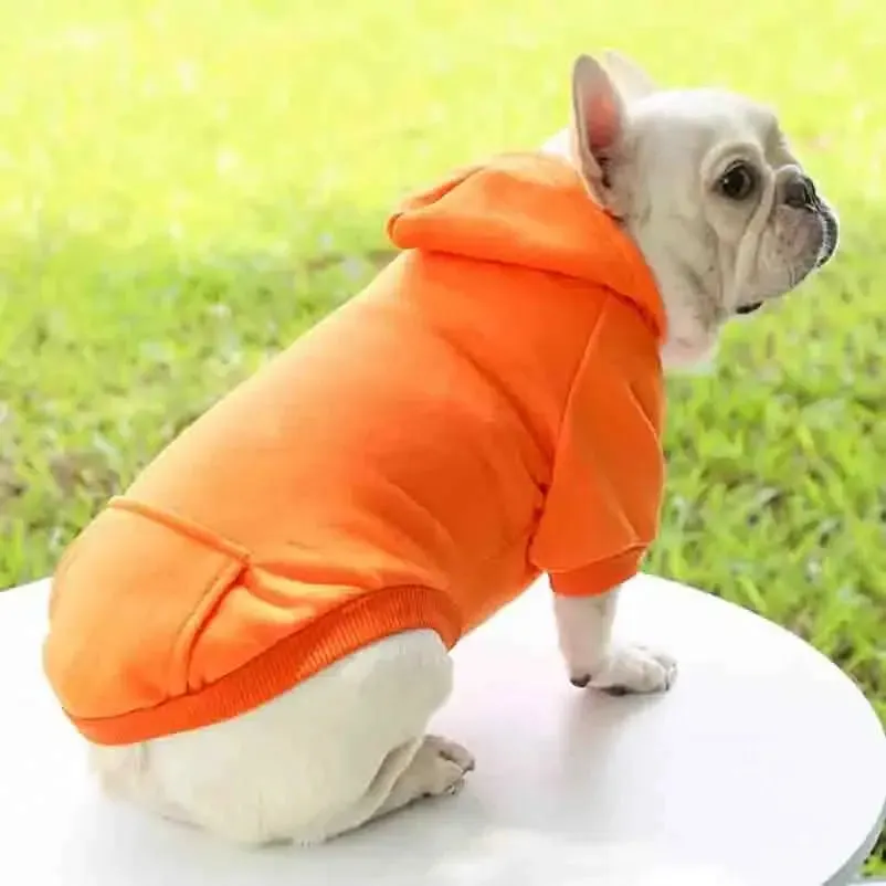 Cozy Dog Winter Hoodie