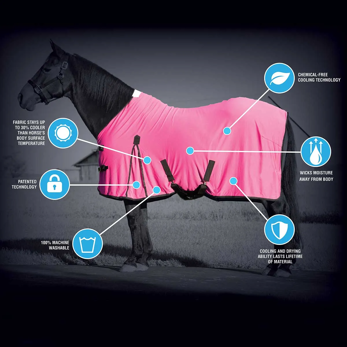 Weaver CoolAid® Equine Cooling Blanket